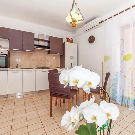 公寓 Casa Ivana Garden 2-bedroom 茨里克韦尼察